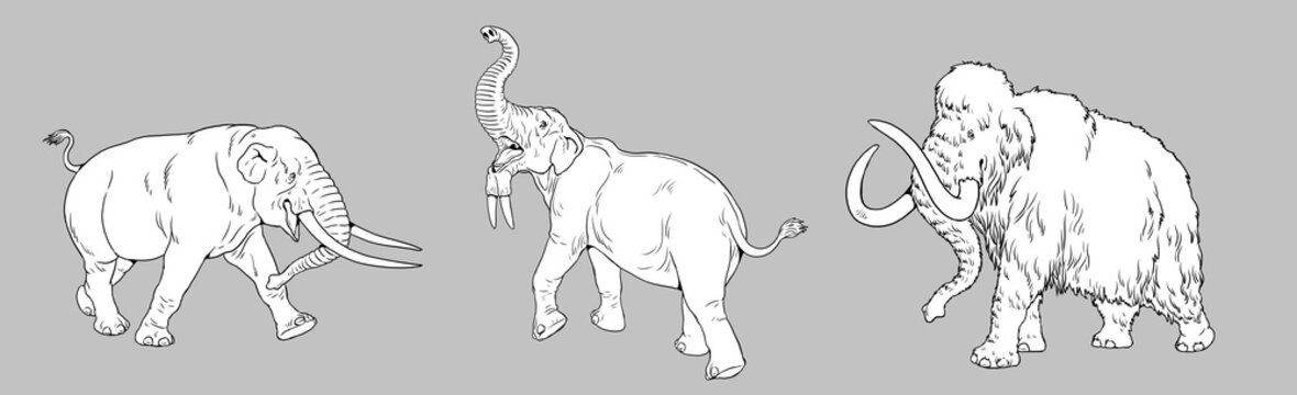 Prehistoric animals. Mammoth, mastodon and deinotherium. Coloring page with extinct Elephants.	

