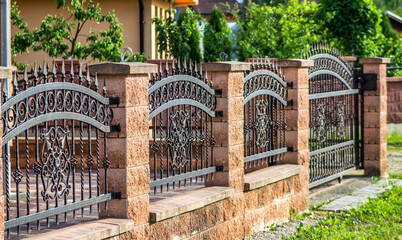Iron fence with iron gate
