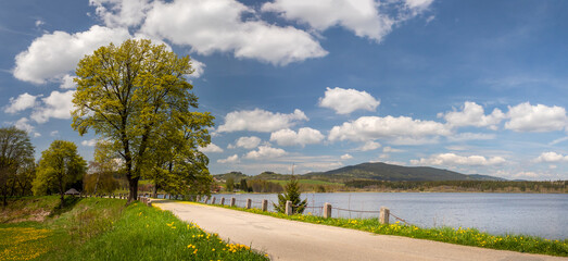 Olsina pond in Sumava, Czech republic - countryside landscape with road on the pond embankment