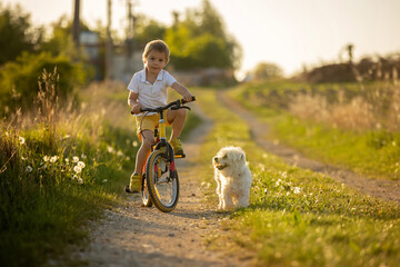 Cute child with pet dog, riding a bike in a rural field on sunset