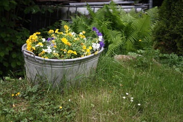 Verzinkte Badewanne mit bunten Blumen im Garten