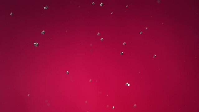 Flying of Pomegranate in Fuchsia Background in Slow Motion