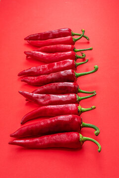 Fresh red chilli peppers lay in a row isolated on red background.