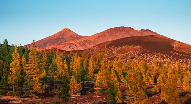 Teide National Park. Tenerife Island.