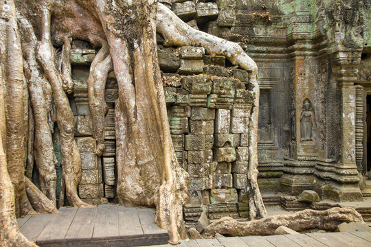 The tree ruined Banteay Kdei temple In Angkor. Siem Reap, Cambodia