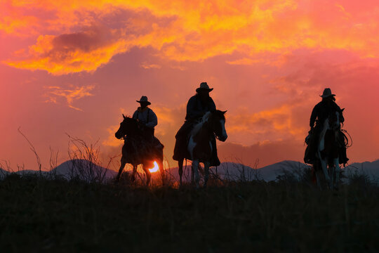 silhouette of  group cowboy riding horse
