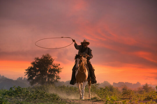 silhouette of cowboy riding horse