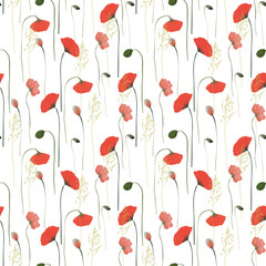 Seamless pattern of watercolor poppies, illustrations on a white background