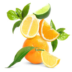 Fresh juicy citrus fruits and green leaves on white background