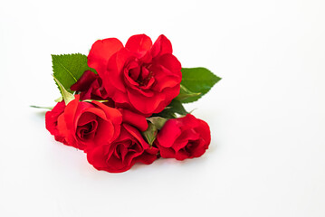 red roses isolated on white background.
special day concept.