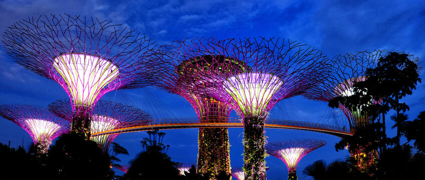Supertree Grove