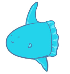 Fototapeta premium sunfish, mola mola marine under the sea animal cartoon hand drawn doodle illustration
