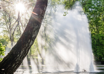 Beautiful fountain in the city park. Fountain in the sun at sunset in the park.