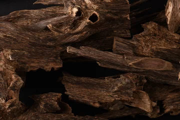 Fototapeten Close UpShot Of Sticks Of oudh On Black Background The Incense Chips Used By Burning It Or For Arabian Oud Oils Or Bakhoor  © mohamed