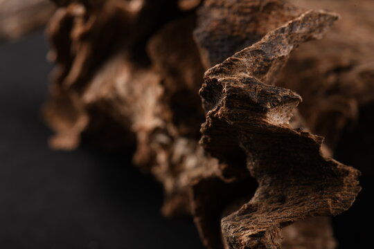 Oud Wood Images Browse 30 886 Stock Photos Vectors and Video