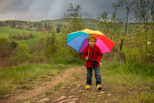 Cute preschool child with pet dog, holding colorful rainbow umbrella, walking in spring nature