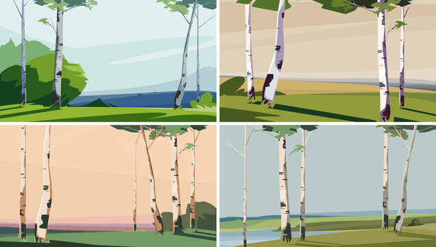 Collection of landscapes with birches. Beautiful natural sceneries.