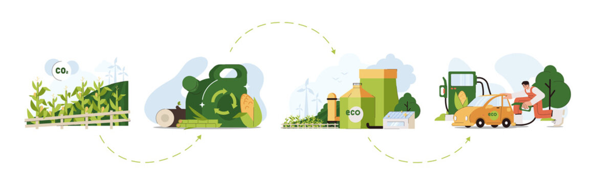 Biofuel life cycle flat vector illustration. Biodiesel or biogas production green energy from corn plant biomass, natural wood and sugarcane. Eco friendly fuel for petrol station. Alternative power.