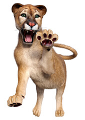 3D Rendering Big Cat Puma on White