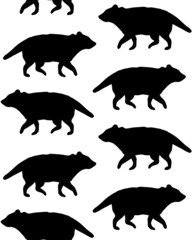 Vector seamless pattern of hand drawn Tasmanian devil silhouette isolated on white background