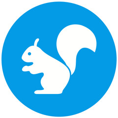 Squirrel Icon Design
