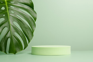 Round cylinder green podium with monstera leaf. Display for product presentation