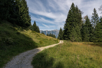 Fototapeta na wymiar Oberstdorf Hochleite - Allgäuer Alpen 