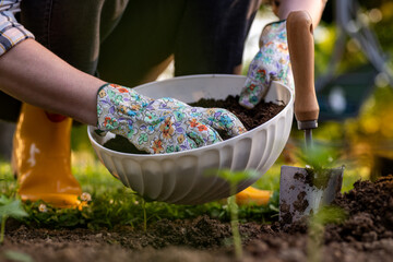 Eco friendly gardening. Woman improving garden bed soil for planting, fertilizing with compost....