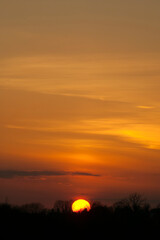 Golden sunset with light cirrus clouds and low trees on the skyline. Taken on 22 March which is the first day of Spring or Vernal equinox. Kildare, Ireland.
