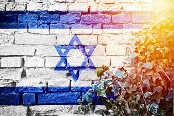 Israel grunge flag on brick wall with ivy plant sun haze view - obrazy, fototapety, plakaty