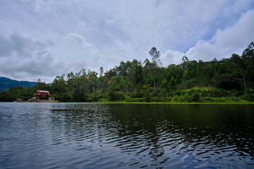 Black backed Grosbeak (Pheucticus aureoventris), perched on a power cable against a wooded background.