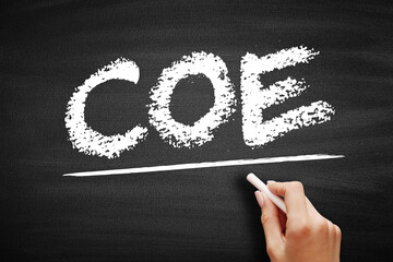 COE Cost Of Equity - return that a company requires for an investment or project, acronym text concept on blackboard