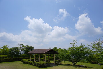 Fototapeta premium 晴れた日の自然公園