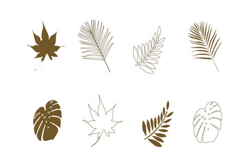 Brown leaf vector work with streaks. and is in color Used to decorate the event and do advertising work.