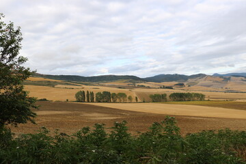 paysage champ&ecirc;tre
