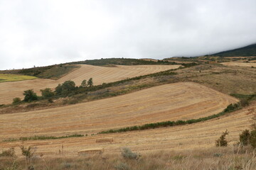 paysage champ&ecirc;tre