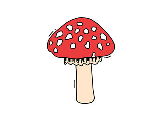 Hand drawn fly-agaric doodle icon. Amanita mushroom. Poisonous toadstool fly agaric. Hand drawn doodle.