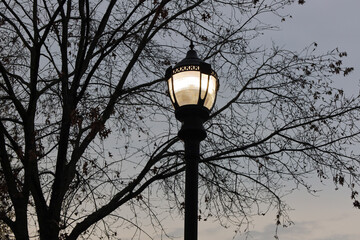 street lamp in the night