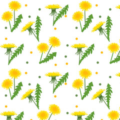 seamless floral pattern. Background with dandelions