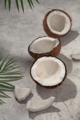 coconut with palm tree leaves