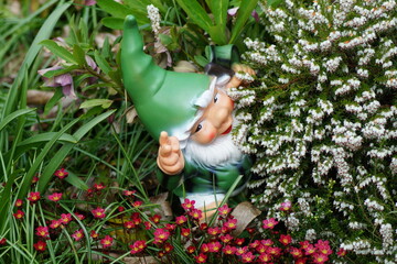 little gnomes hide in the garden