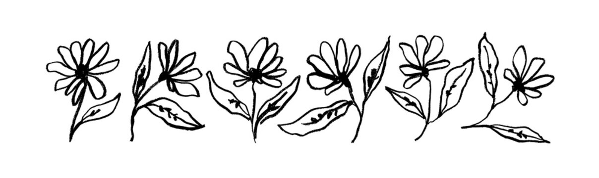 Simple linear flowers on stems isolated on white. Hand drawn vector botanical illustrations. Cute flowers and leaves cliparts. Chamomile hand painted vector set. Ink drawing wild plants and herbs 