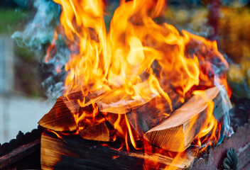 Brightly burning wooden logs with yellow hot flames of fire. Sparkling bonfire in the grill on firewood. Firewood burning on grill. Open fire. Close up view with shallow DOF.