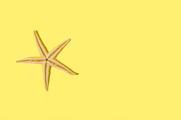 Una estrella de mar sobre un fondo amarillo liso y aislado. Vista superior y de cerca. Copy space