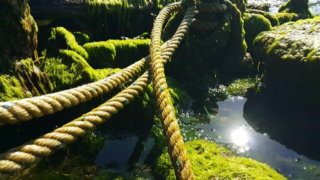 Video image of mossy rope and breakwater stones at the seashore
