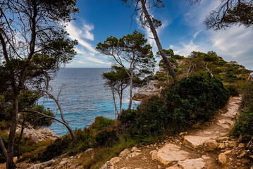 Obraz premium Rocky pathway amidst plants on cliff by sea. Scenic view of Mediterranean ocean against blue sky. Empty lane on mountain during summer.