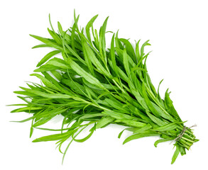 Bunch of tarragon isolated on a white background