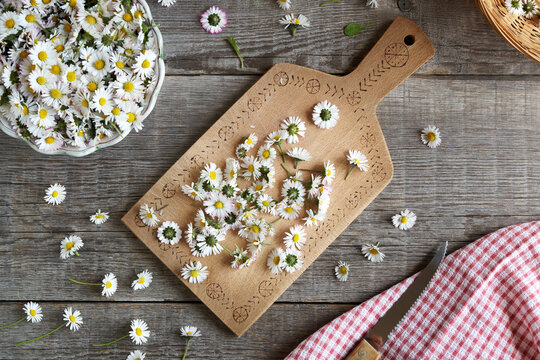 Cutting up fresh daisy flowers to prepare herbal syrup