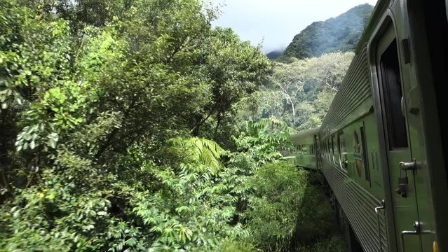backrear view of touristic train in the Atlantic Rainforest in Curitiba, Brazil, way to Morretes