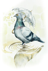 Pigeon in a spring puddle. Bird with parasol. Fantasy. Sunny day. Watercolor Hand drawn illustration